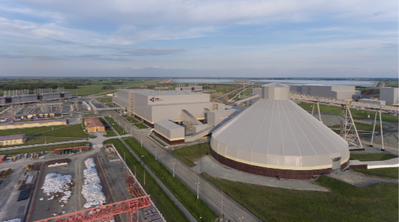 Михеевский